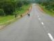 En Zambie, comme partout depuis notre arrive en Afrique, les routes sont frquentes, beaucoup frquentes mais pas vraiment par les voitures...