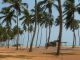 Le bord de mer est occup par deux types d'habitations. Des huttes groupes en hameau trs serrs pour les pcheurs (dont la plupart sont ghanens d'ailleurs) et des cabanes abris o les Cotonois viennent passer leur week-end  la plage.