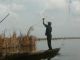 Le lac Nokou est constitu par le delta du fleuve Oum et ses eaux lagunaires sont saumtres et peu profondes (1,50 m).
Deux formes de pche se pratiquent. Le classique pervier et une forme d'aquaculture avec enclos de branchage.
Crevettes, crabes, silures, carpes, soles, mulets, tilapias sont proies quotidiennes du pcheur du cru.