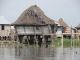 Certains groupes de maisons disposent d'une île en terre les reliant. Créées artificiellement, ces surfaces terrestres l'ont été uniquement pour apprendre aux enfants à marcher.