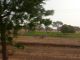 Impossible de passer au Burkina Faso sans admirer le savoir-faire et l'organisation de ses cultivateurs, même en plein coeur de la saison sèche.