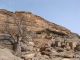 Baobabs, greniers à mil à toit pointu, falaise... Un vrai résumé du pays Dogon.