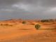 ...le site, vu de la terrasse de la Rose des Sables est toujours aussi magnifique et devient magique sous ce ciel de plomb au soleil couchant.