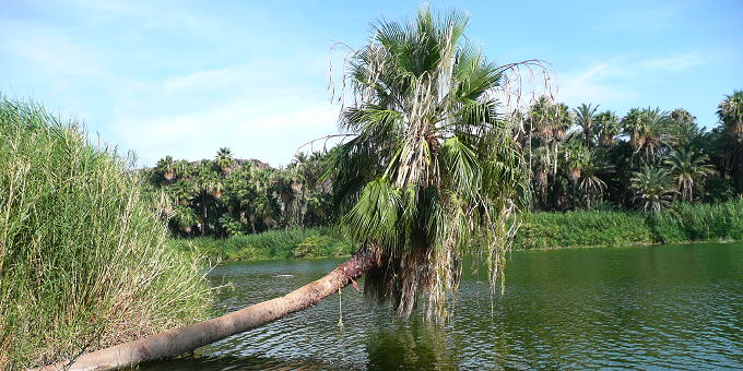 mx-056.jpg mx-056.jpg